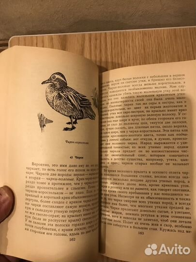 Журнал Охота и Рыбалка 2020 № 9 10 11 12,1