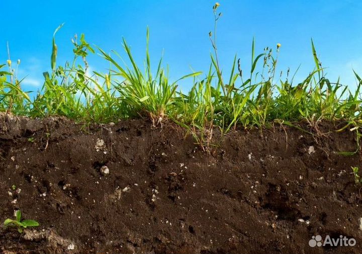 Торфогрунт