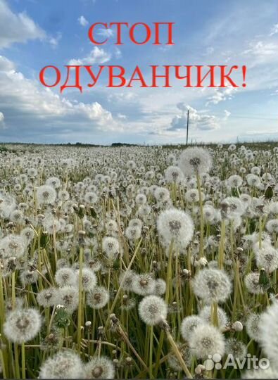 Гербицидная обработка полей и участков