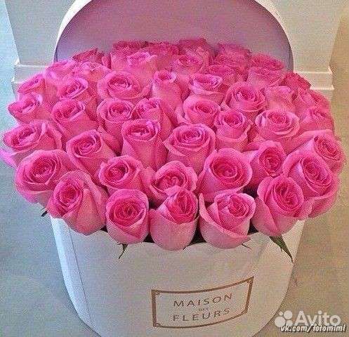 51 Роза, 101 Роза, 201 Роза, 501 Роза