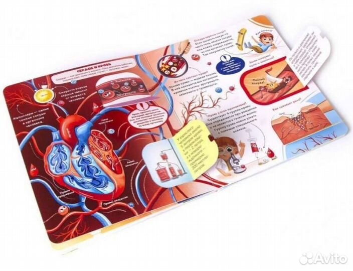 Книги с окошками Malamalama 4шт новые