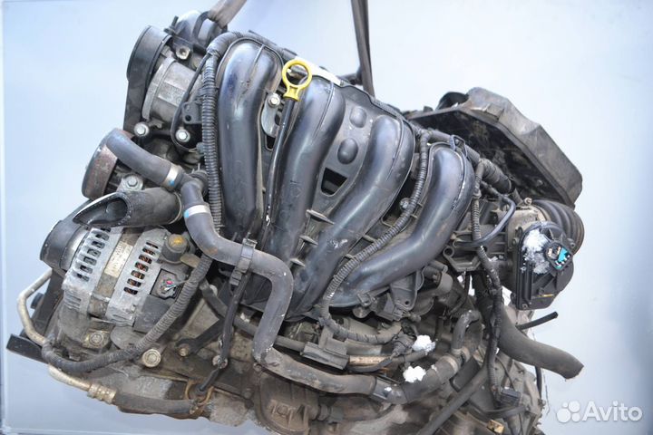 Двигатель, Ford Focus 2 2006