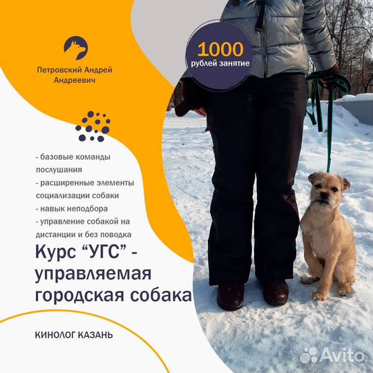 Дрессировка собак. Кинолог