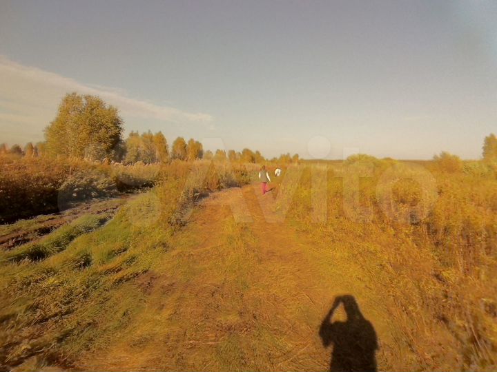 Участок 100 сот. (СНТ, ДНП)