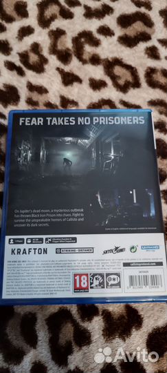 The callisto protocol