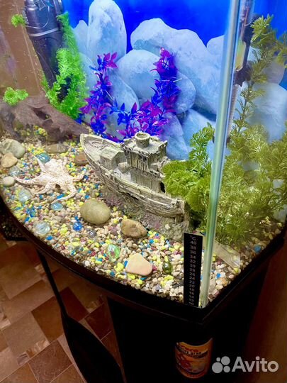 Аквариум