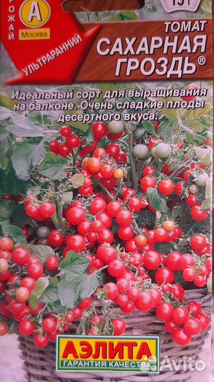 Рассада томатов помидор черри