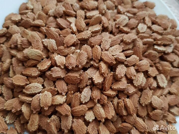 Момордика семена