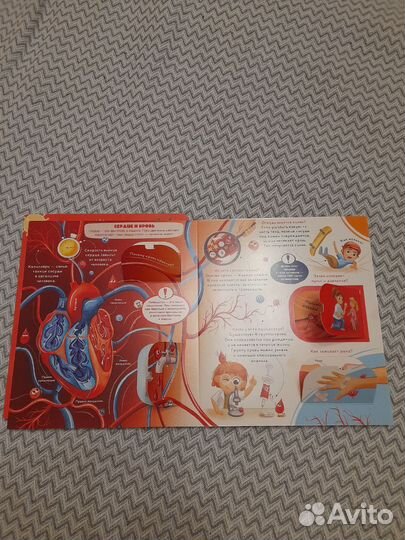 Две книжки с окошками malamalama