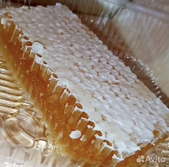 Мёд в сотах (Экопродукт без сахара)