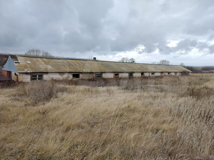 Здание, 703.4 м²