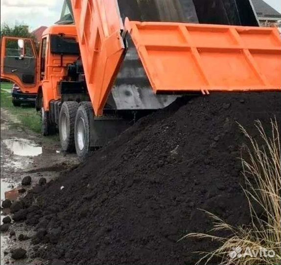 Чернозем в Лесной Городок
