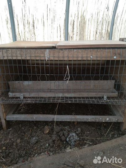 Клетки для перепелов бу