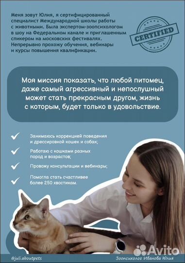 Зоопсихолог, коррекция поведения кошек