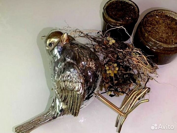 Биоактиватор потенции на меду