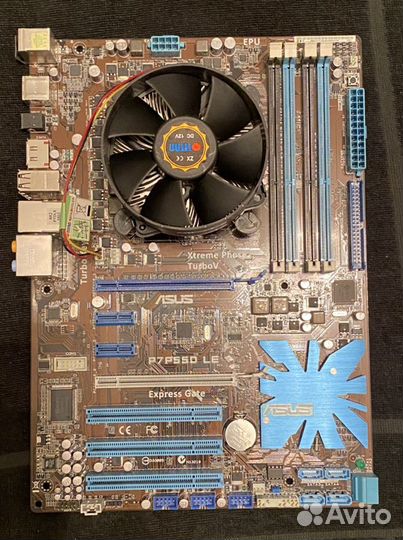 Материнская плата asus