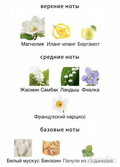 Carner Barcelona Latin Lover распив оригинал