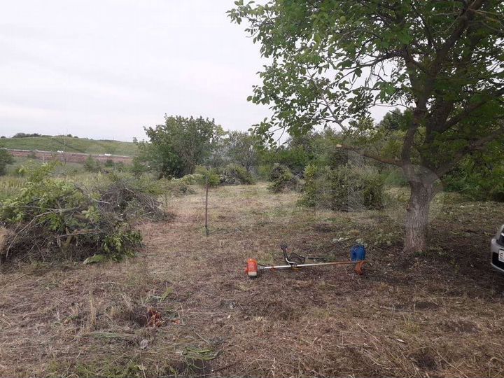 Участок 6 сот. (СНТ, ДНП)