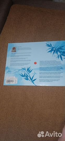 Китайский язык в схемах-паутинках У. Курт