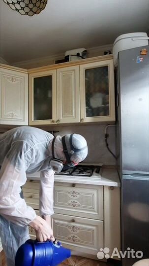 Уничтожение клещей, кротов, ос, тараканов и клопов