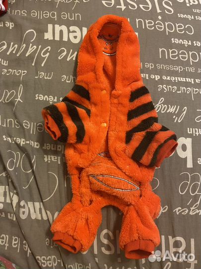 Костюм для собаки