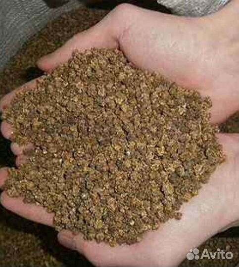 Семена кормовой свёклы Эккендорфская Лада Бригадир