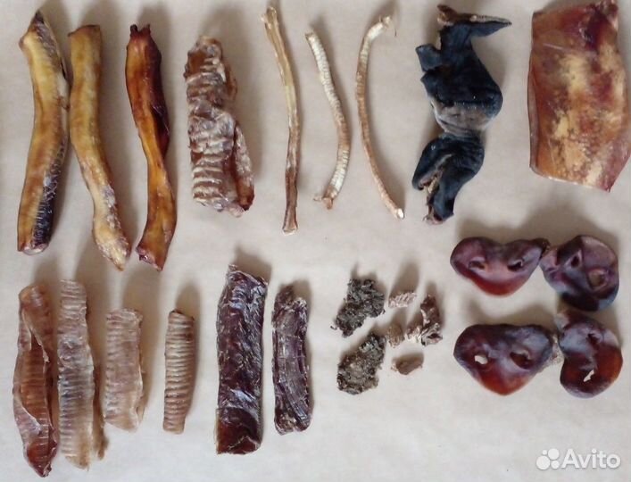 Сушеные лакомства для собак