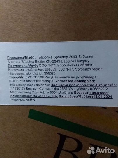 Бройлер росс 308