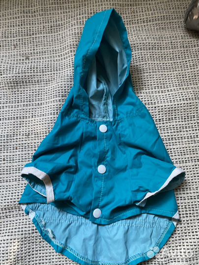 Одежда для маленьких собак