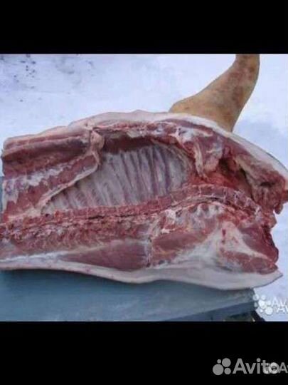Мясо свинина домашняя