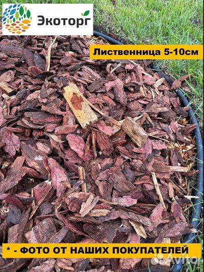 Мульча лиственницы древесная крупная