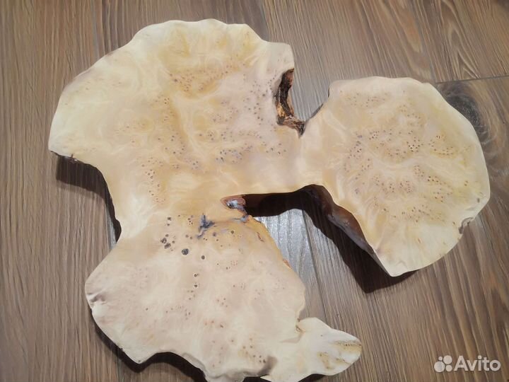 Кап березовый