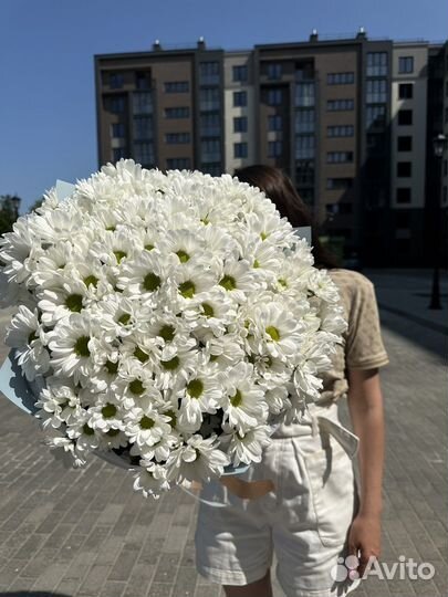 Букет из 21 хризантемы ромашковой. Цветы доставка