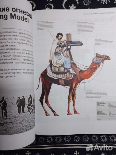 Книга энциклопедия стрелковое оружие