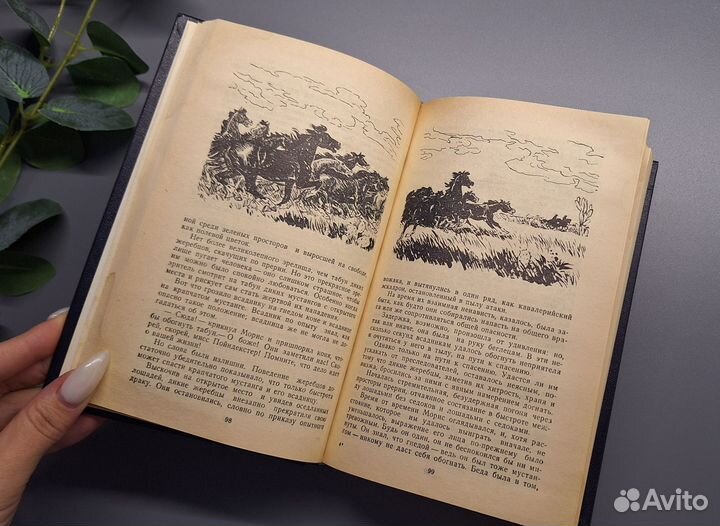 Всадник без головы Майн Рид