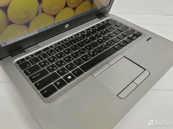 Ноутбук Игровой HP AMD PRO A8 12 дюймов 8gb