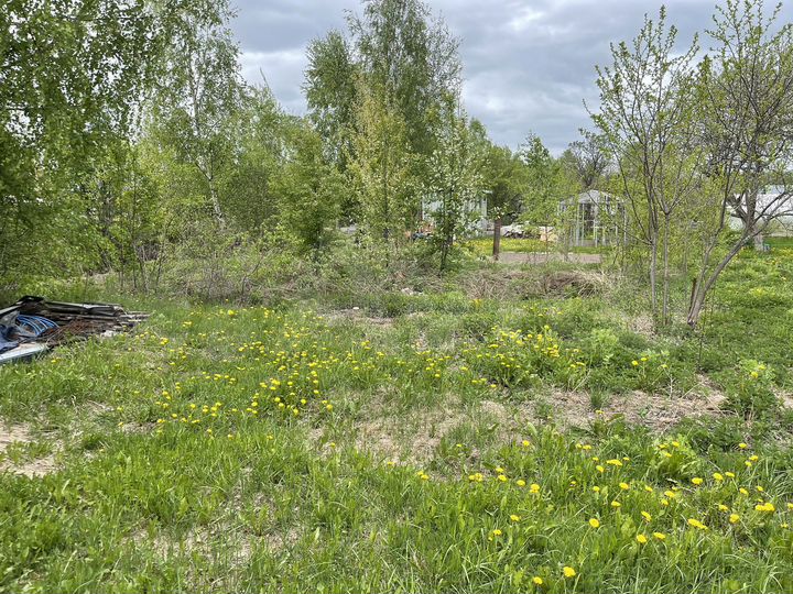 Участок 8 сот. (СНТ, ДНП)