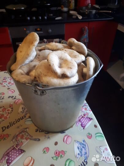 Грузди сухие