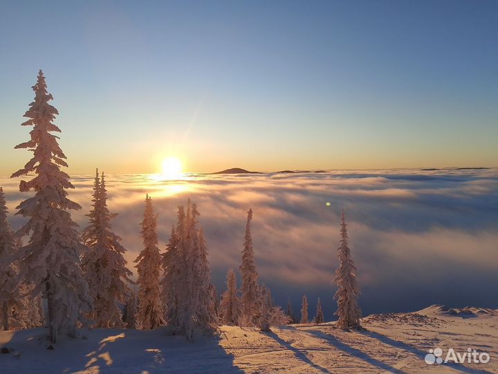 Катание на снегоходах Шерегеш