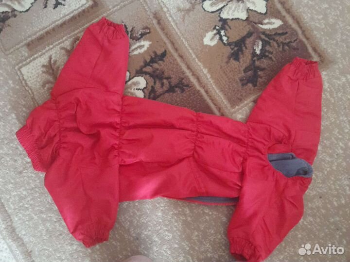 Костюм для средней породы девочка