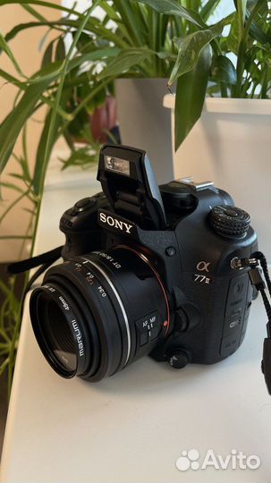 Фотоаппарат Sony a77 ii