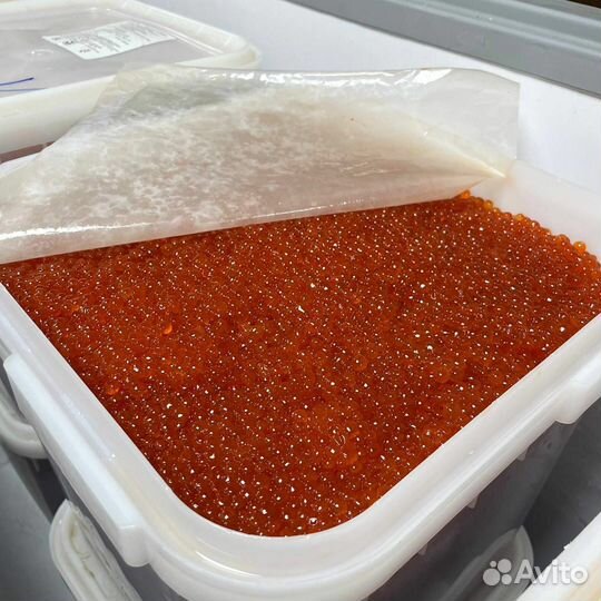 Красная икра горбуши