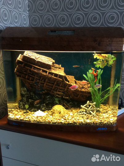 Аквариум