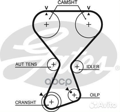Ремень грм 175x290H Hyundai Santa Fe, Kia