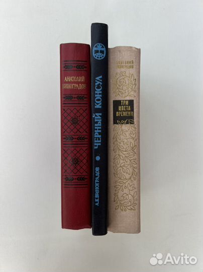 Анатолий Виноградов книги
