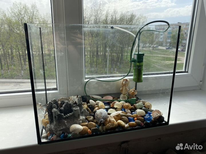 Аквариум