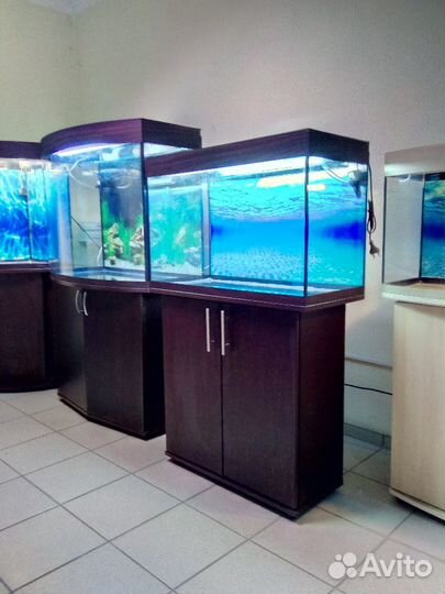 Аквариум 130 свет крышка биофильтр фон тумба