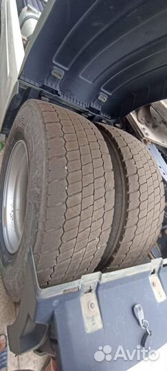 Renault Magnum, 2011