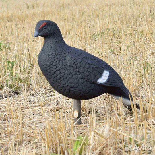 Чучело тетерева для охоты