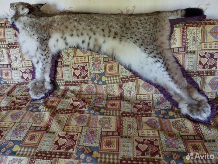 Ковёр из рыси